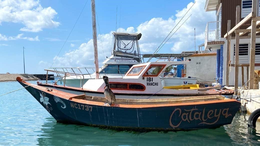 Fischerboote liegen vor den Fischerhäusern neben dem Purunchi - auf der Reling der Cataleya sitzt ein Pelikan