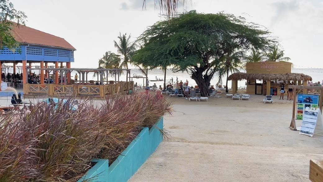 Blick vom Eingang in Richtung Meer, links das Restaurant, in der Mitte der große Schattenspender Divi Divi und rechts die Strandbar