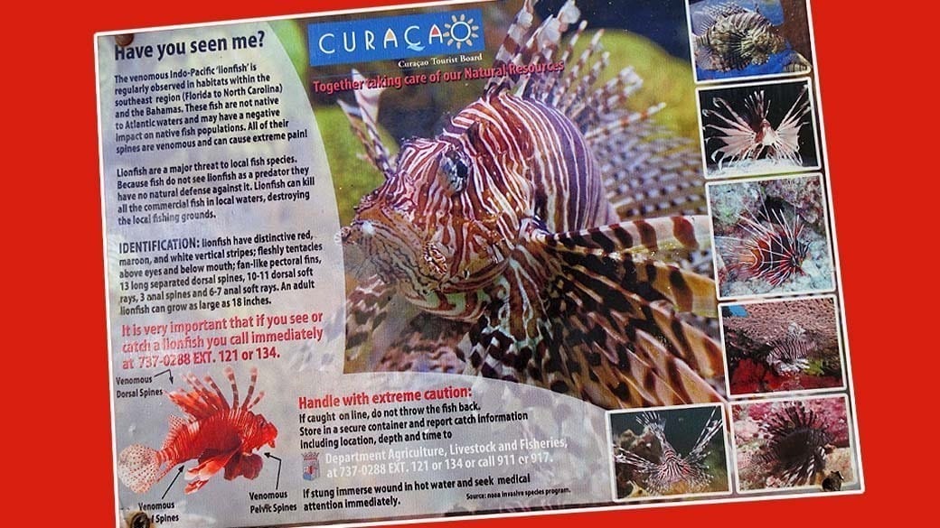 Schild mit Hinweisen zum Rotfeuerfisch vom Curacao Tourist Board CTB