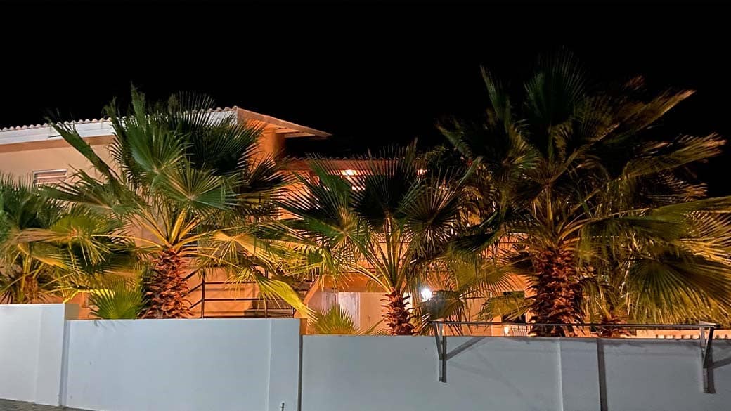 Whitehouse Lagun - Palmen bei Nacht